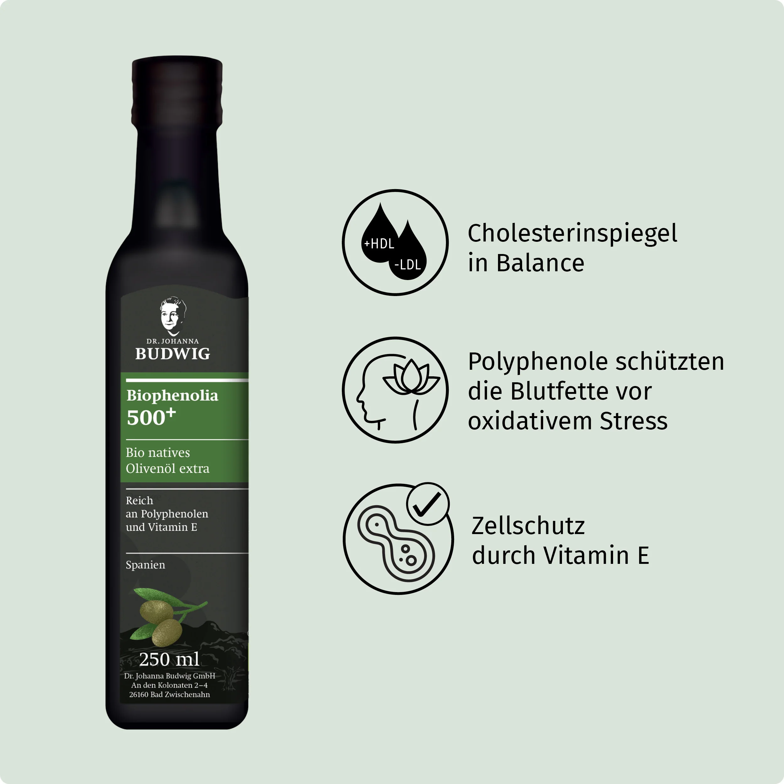Vorschaubild 3