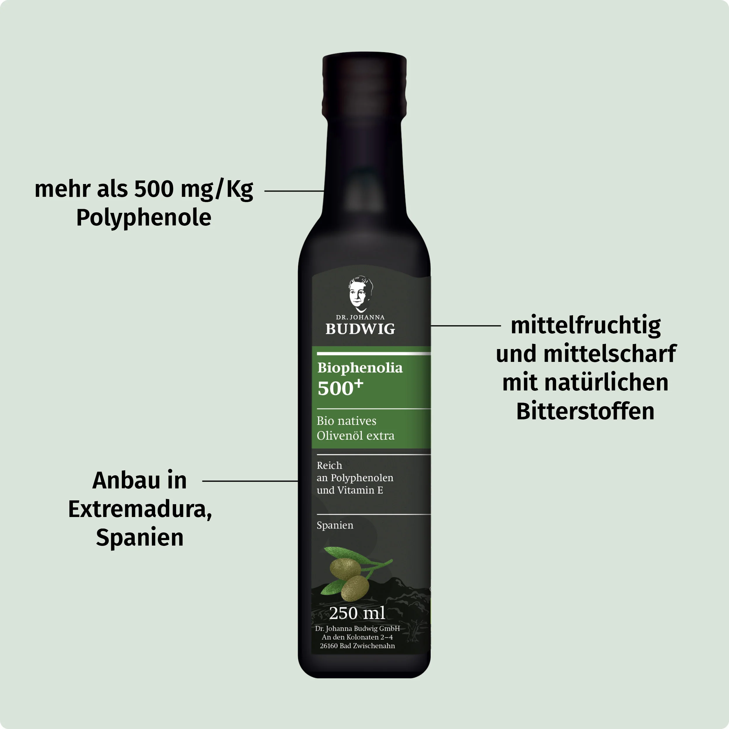 Vorschaubild 5